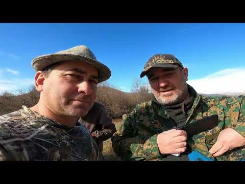 ტყის ქათამზე ნადირობა 3, თიანეთი (16.11.2023) Woodcock hunting 3, Tianeti